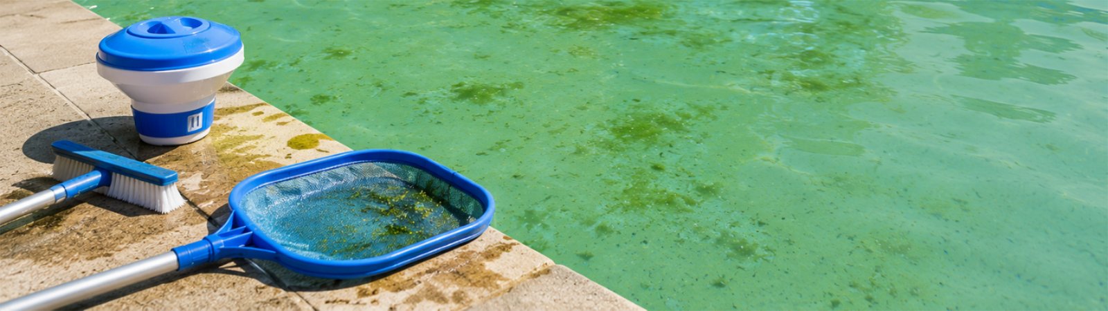 Green Pool Water
